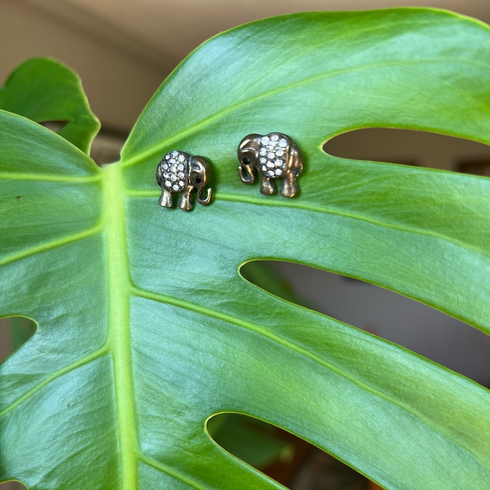 Elephant stud earrings